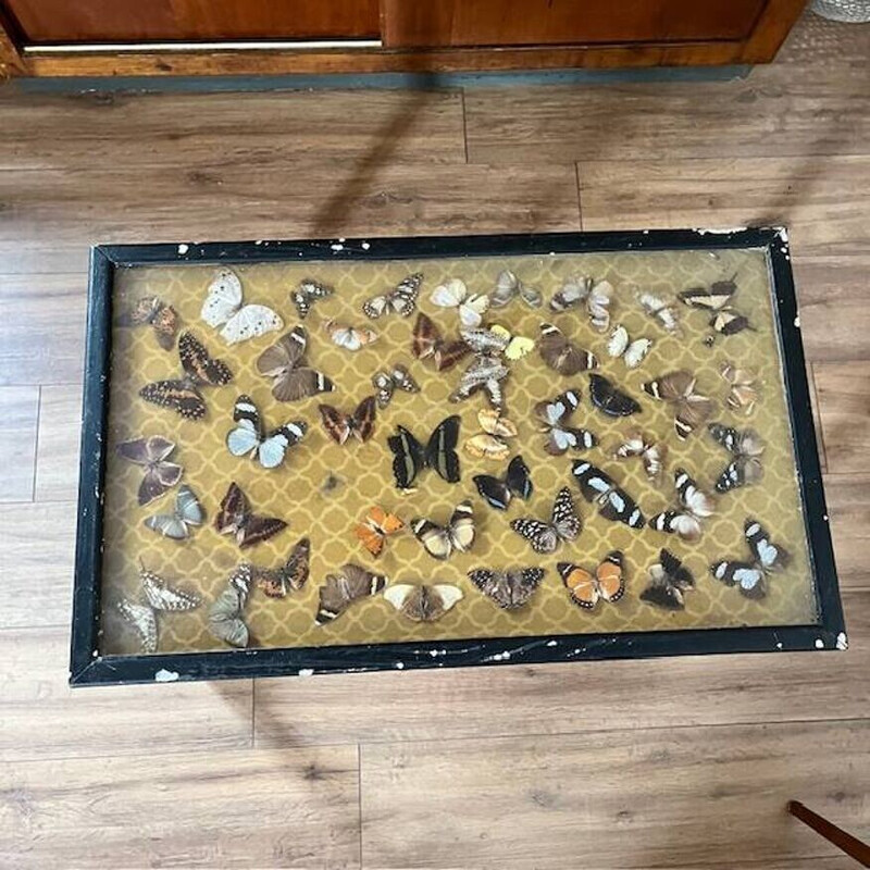 Vintage butterfly coffee table in wood and metal
