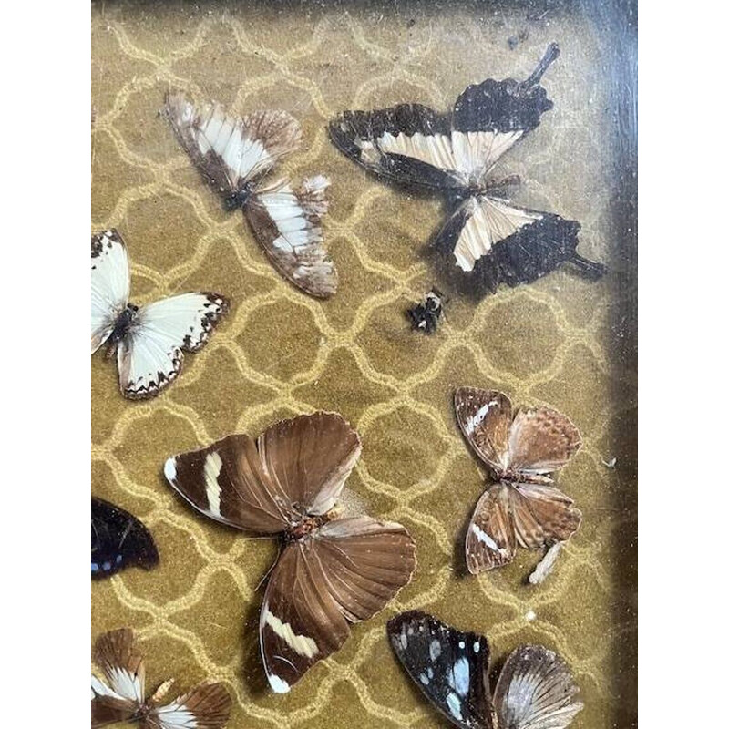 Vintage butterfly coffee table in wood and metal