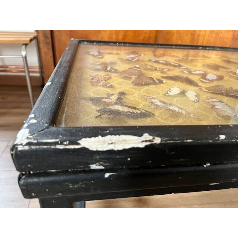 Vintage butterfly coffee table in wood and metal