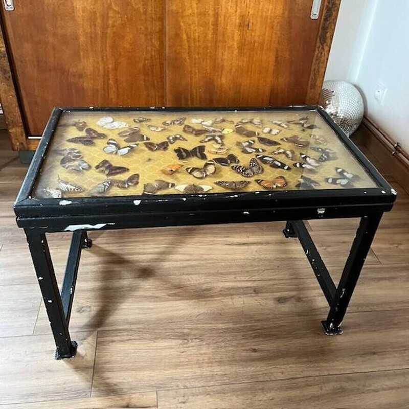Vintage butterfly coffee table in wood and metal