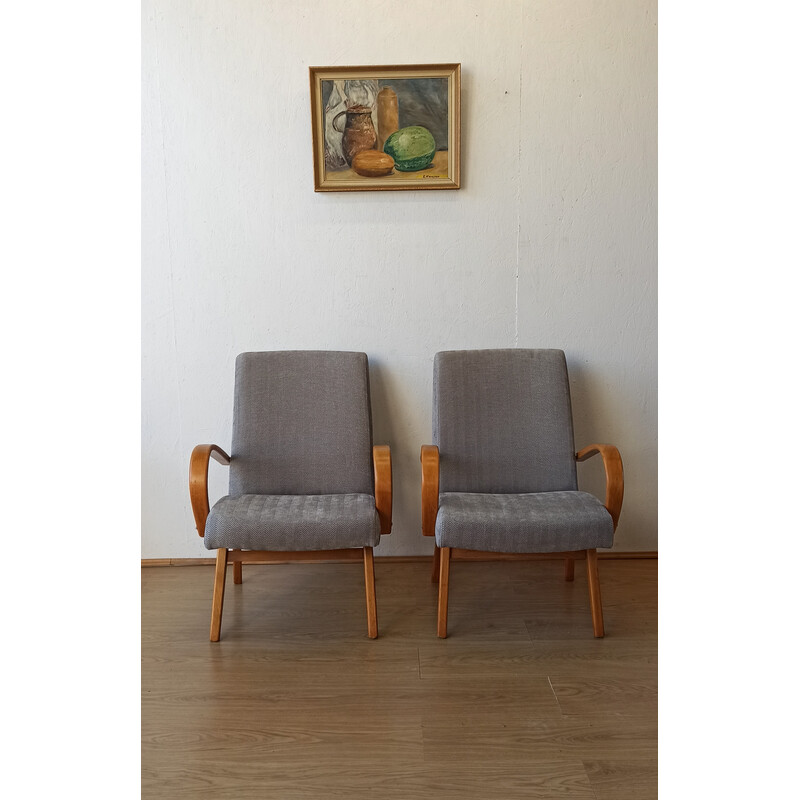 Paar Vintage-Sessel, Tschechoslowakei 1960