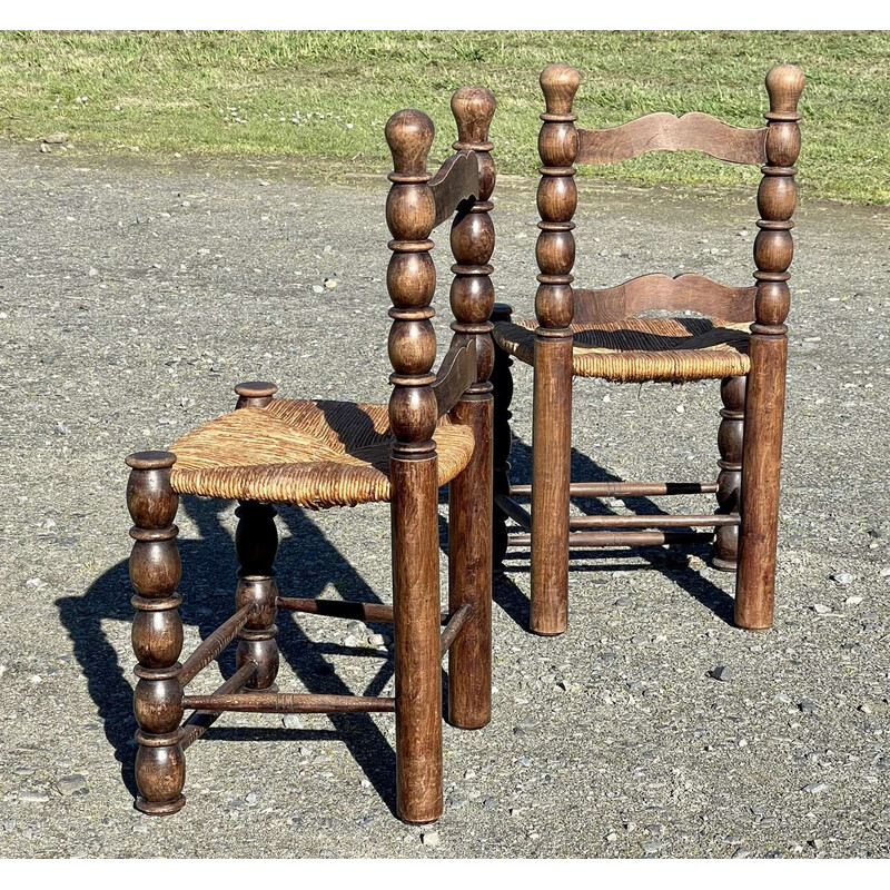 Par de cadeiras de faia vintage, 1950