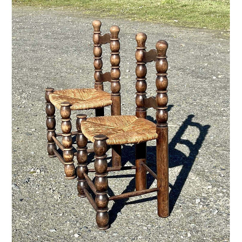 Paire de chaises vintage en hêtre, 1950