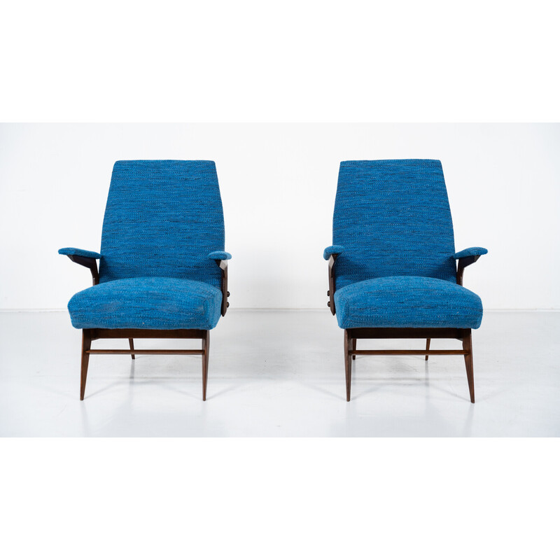 Pair of vintage armchairs by Vittorio Dassi, Italy 1960