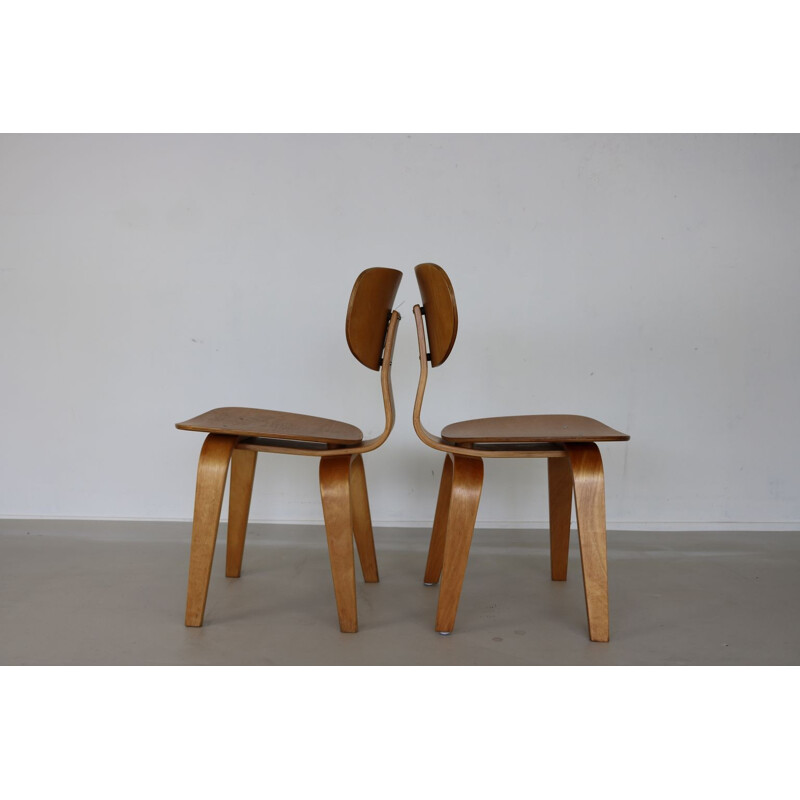 Pair of bentwood dining chairs by Cees Braakman for UMS Pastoe - 1950s