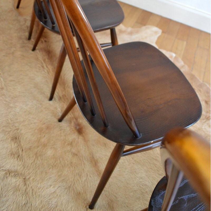 Set of 4 Windsor dinning chairs by Lucian Ercolani for Ercol - 1960s