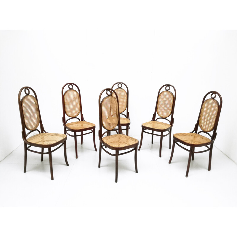 Set of 6 chairs in birchwood and straw by Thonet model 17 - 1930s