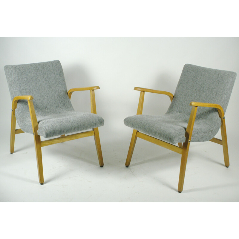 Pair of Armchairs from Café Ritter Vienna, by Roland Rainer - 1950s
