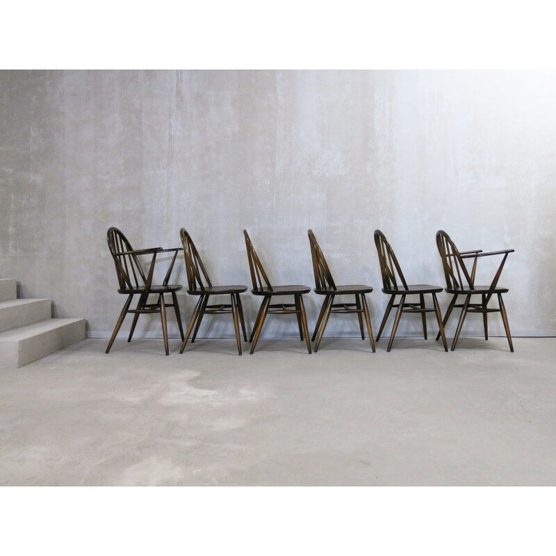 Set of 6 Windsor dining chairs by Lucian Ercolani for Ercol - 1960s