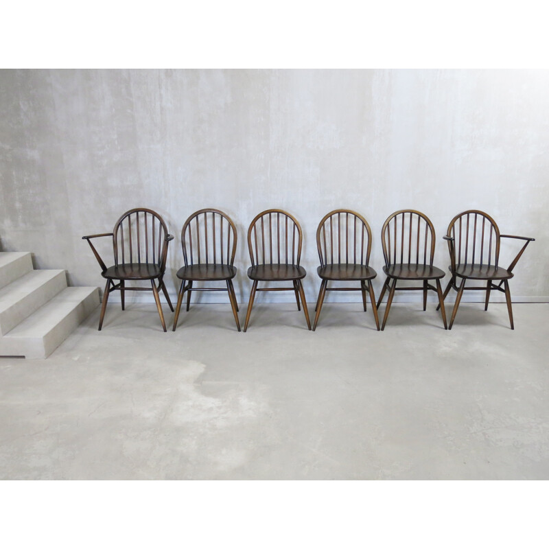 Set of 6 Windsor dining chairs by Lucian Ercolani for Ercol - 1960s