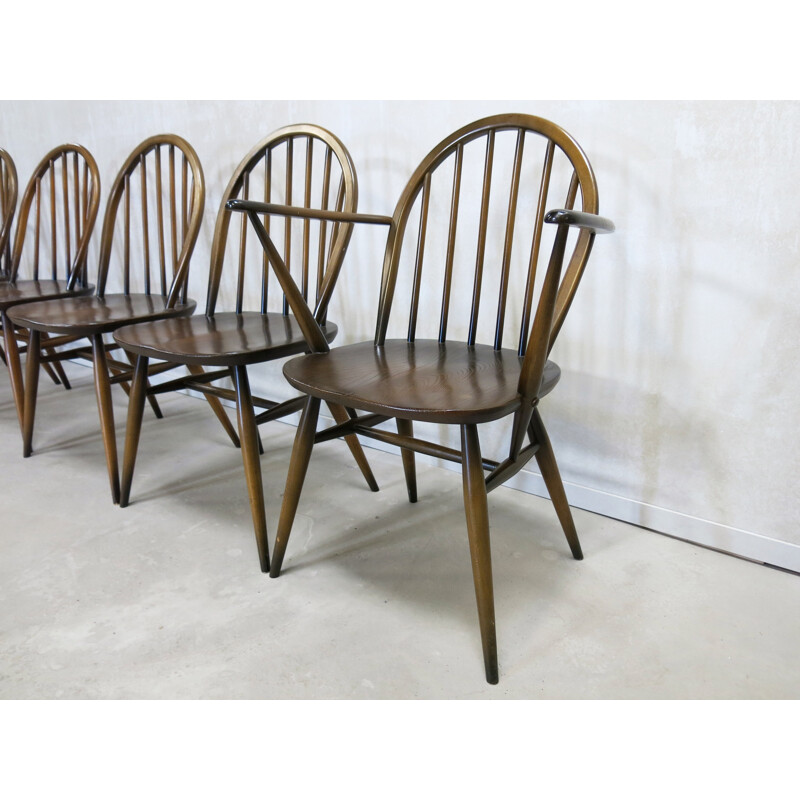 Set of 6 Windsor dining chairs by Lucian Ercolani for Ercol - 1960s