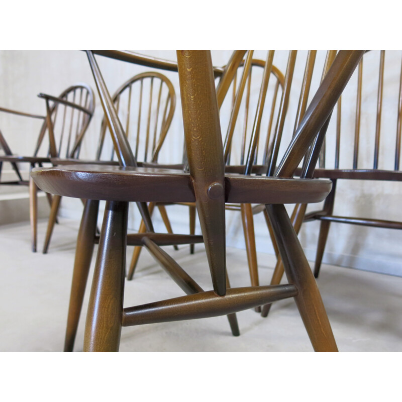 Set of 6 Windsor dining chairs by Lucian Ercolani for Ercol - 1960s