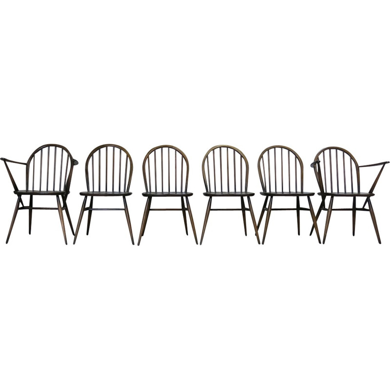 Set of 6 Windsor dining chairs by Lucian Ercolani for Ercol - 1960s