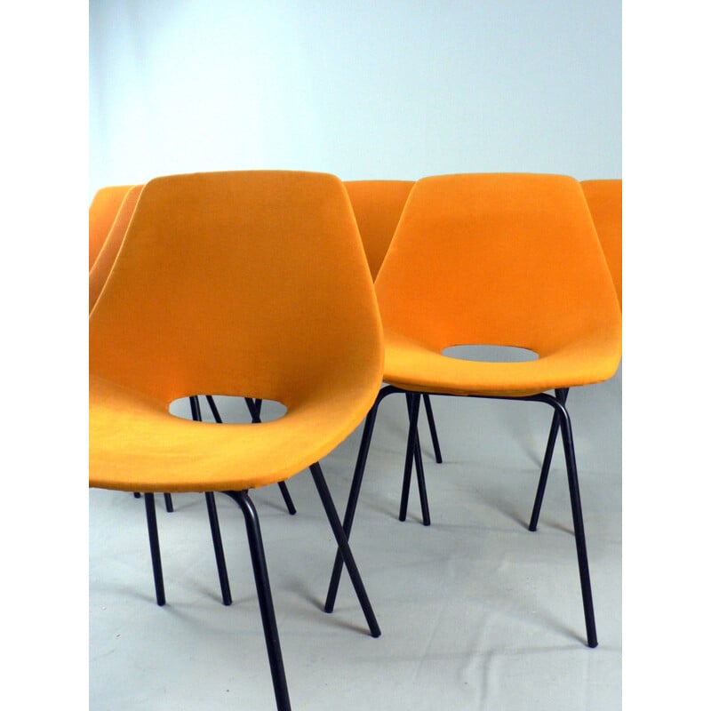 Suite de 6 chaises tonneau "Amsterdam" de Pierre Guariche pour Steiner - 1950