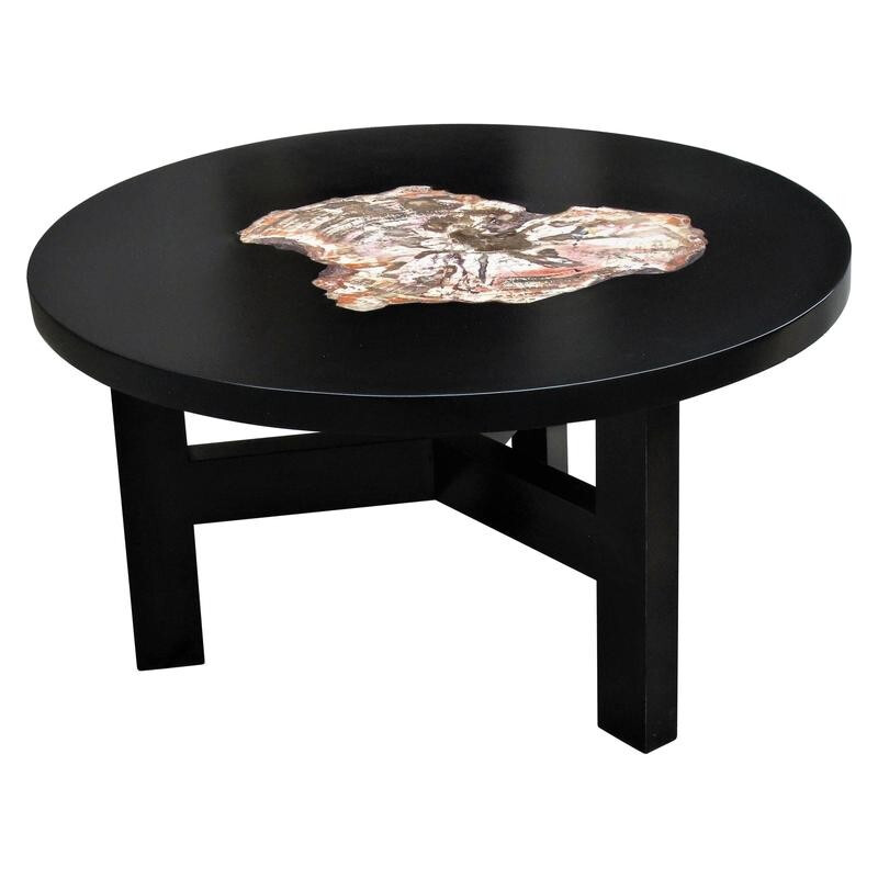 Vintage lacquer coffee table with petrified wood insert from Arizona, 1970