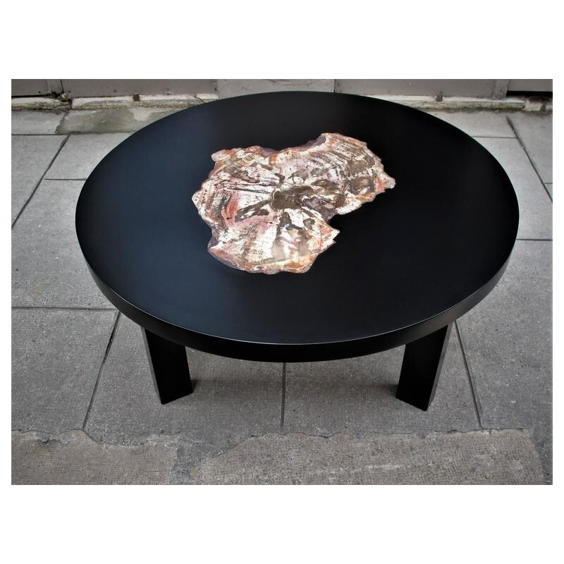 Vintage lacquer coffee table with petrified wood insert from Arizona, 1970