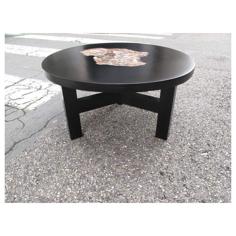 Vintage lacquer coffee table with petrified wood insert from Arizona, 1970