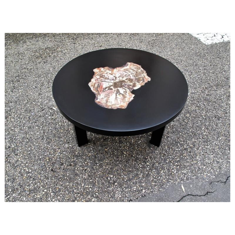 Vintage lacquer coffee table with petrified wood insert from Arizona, 1970