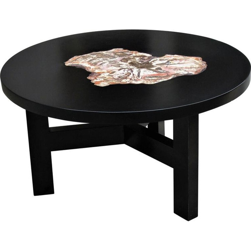Vintage lacquer coffee table with petrified wood insert from Arizona, 1970