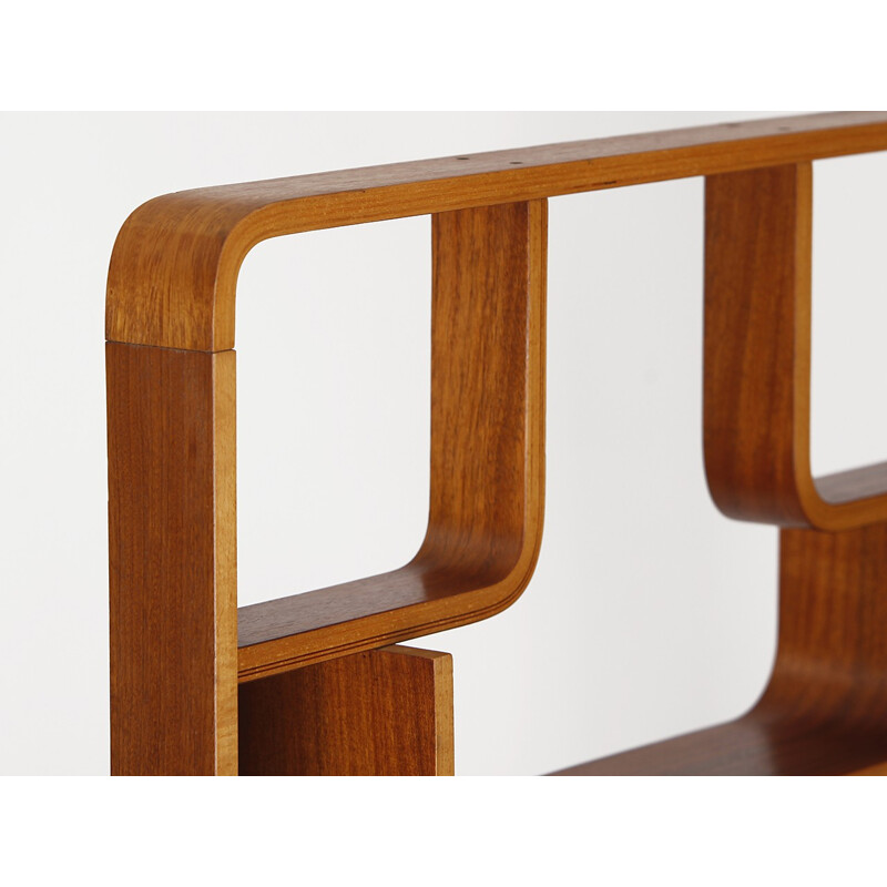 Mahogany Room Divider by Ludvik Volak for Drevopodnik Holesov, 1960s