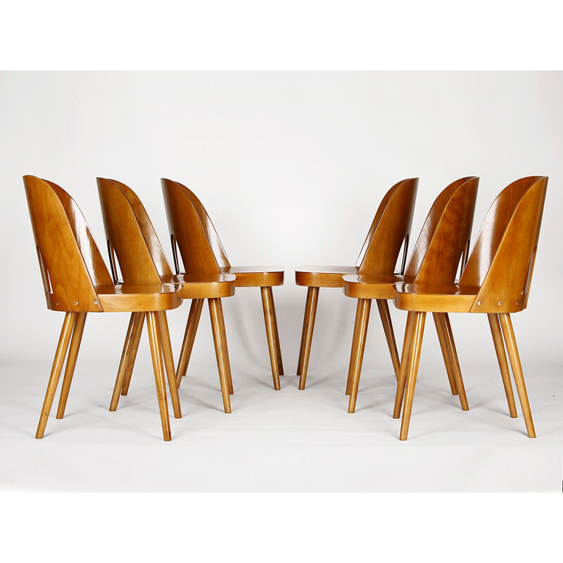 Set of 6 dining chairs by Oswald Haerdtl for TON - 1950s