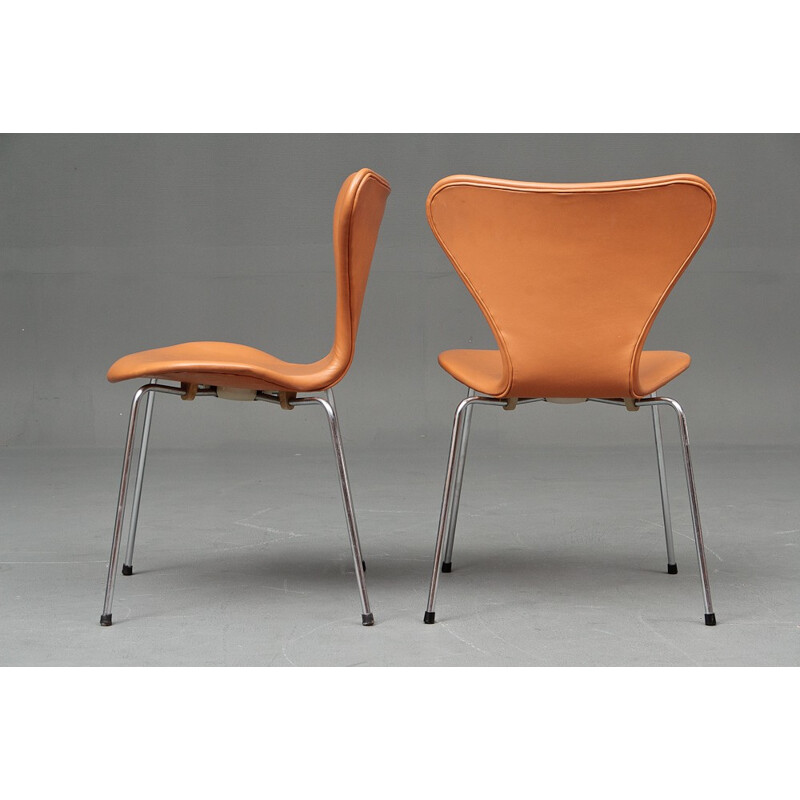 Set of 5 3107 model chairs, Arne JACOBSEN - 1960s