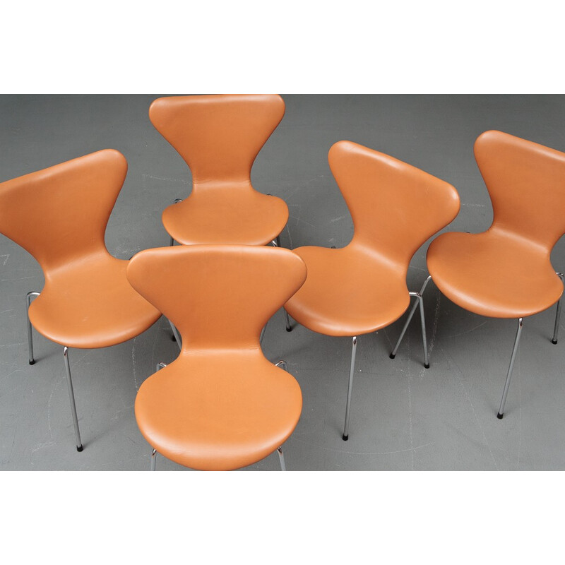 Set of 5 3107 model chairs, Arne JACOBSEN - 1960s