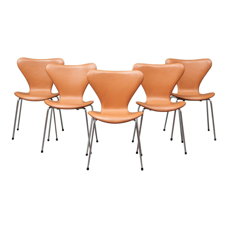 Set of 5 3107 model chairs, Arne JACOBSEN - 1960s