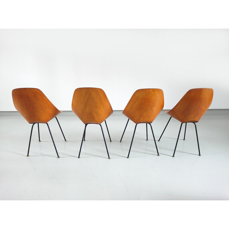 Set of Four Medea Dining Chairs by Vittorio NOBILI for Tagliabue - 1950s