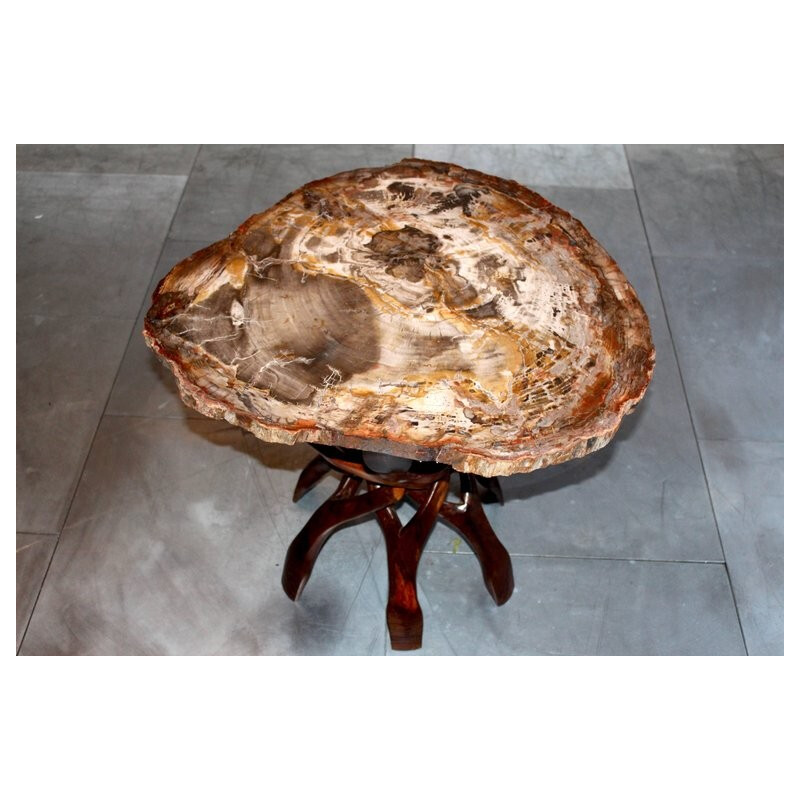 African fossilized wooden pedestal table - 1970s
