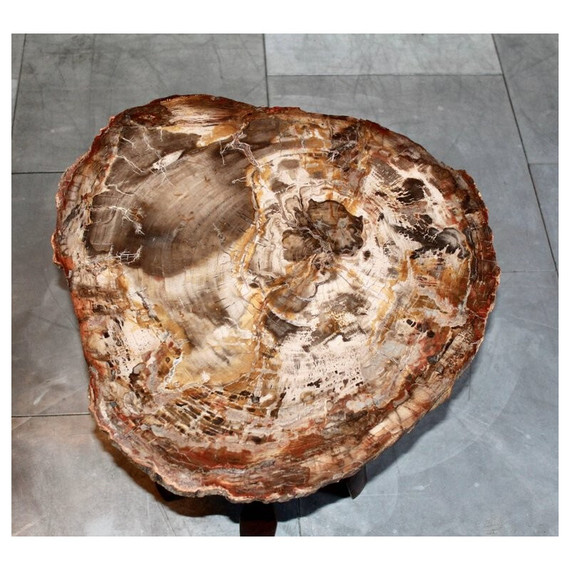 African fossilized wooden pedestal table - 1970s