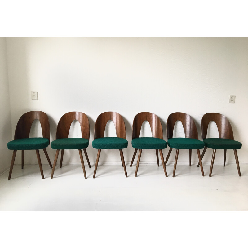 Set of 6 Green Dining Room Chairs by Antonin Suman for Zilina - 1960s