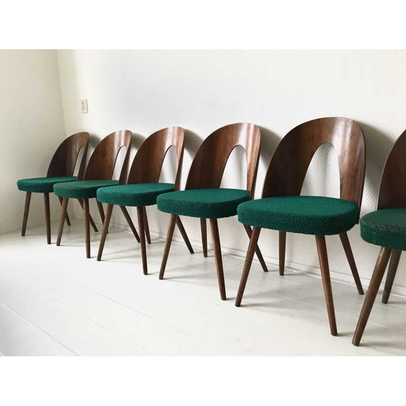 Set of 6 Green Dining Room Chairs by Antonin Suman for Zilina - 1960s