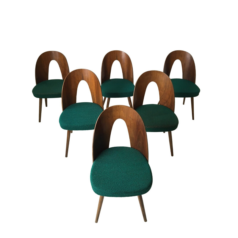 Ensemble de 6 chaises à repas vertes par Antonin Suman pour Zilina - 1960