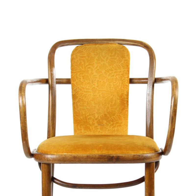 Pair of Bentwood Chairs in Original Gold Velvet Upholstery - 1940s