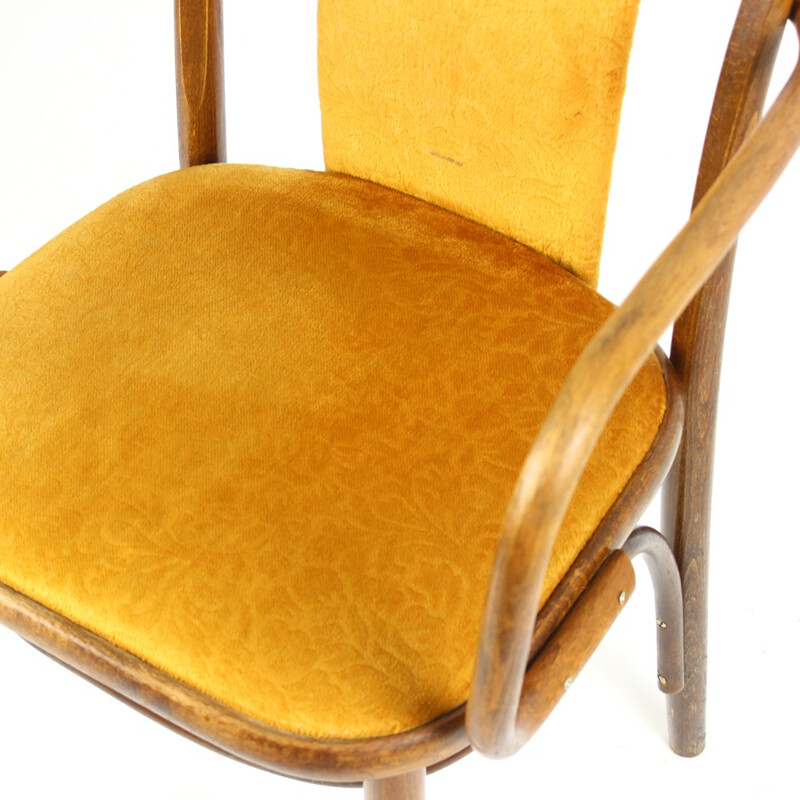 Paire de chaises en bois courbé en velours d'or - 1940