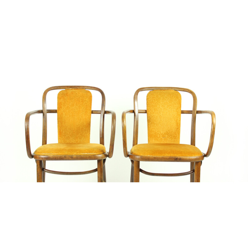 Pair of Bentwood Chairs in Original Gold Velvet Upholstery - 1940s