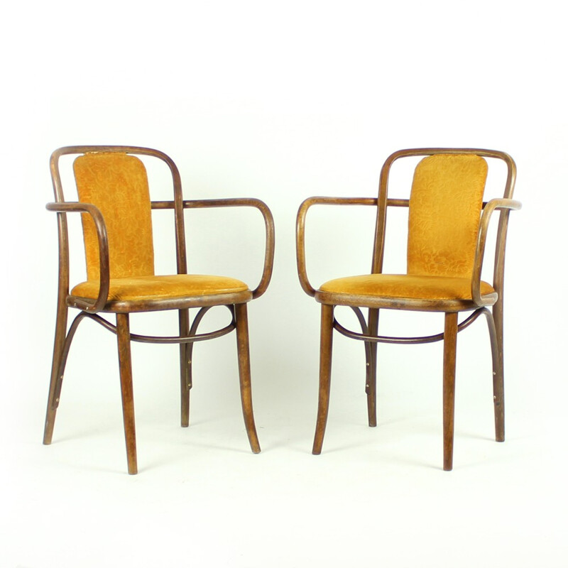 Pair of Bentwood Chairs in Original Gold Velvet Upholstery - 1940s