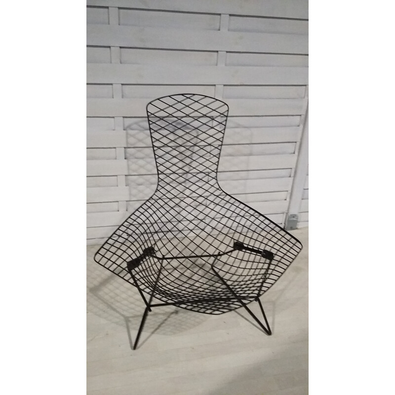 Black vintage "Bird" chair by Harry Bertoia for Knoll - 1970s