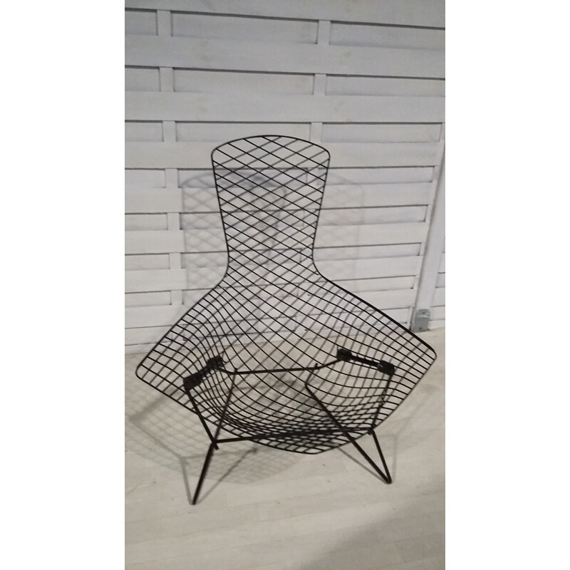 Fauteuil "Bird" noir de Harry Bertoia pour Knoll - 1970