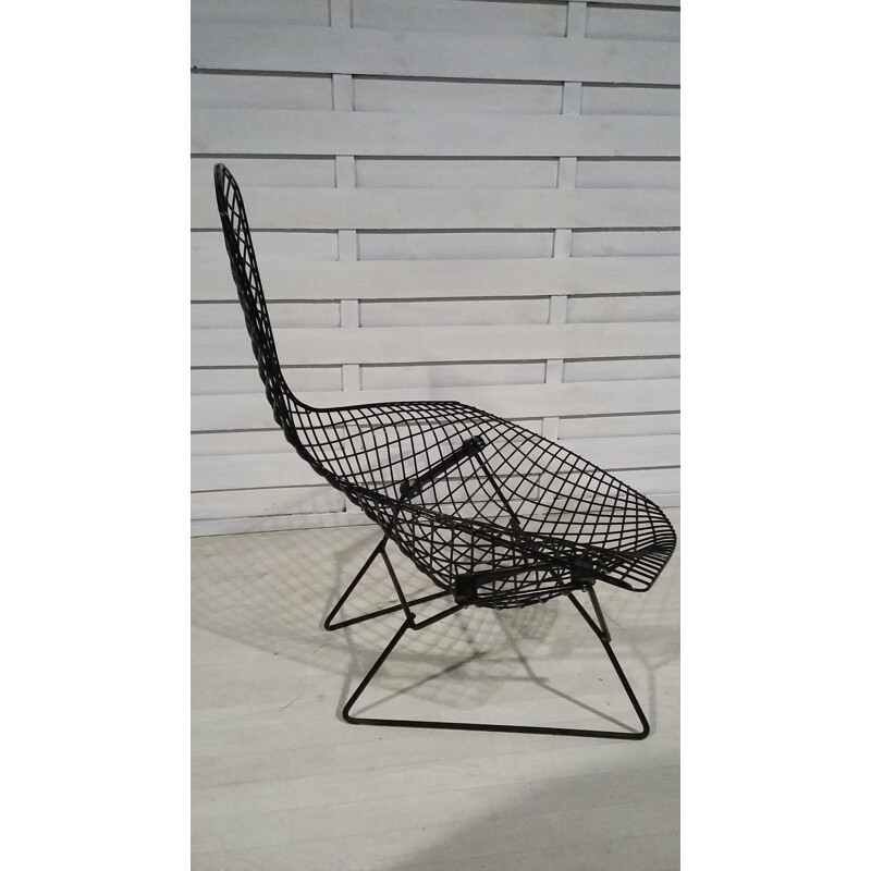 Black vintage "Bird" chair by Harry Bertoia for Knoll - 1970s