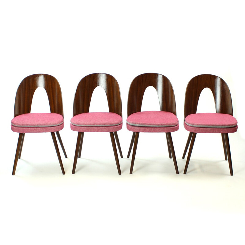 Ensemble de 4 chaises par Antonin Suman pour Tatra - 1960