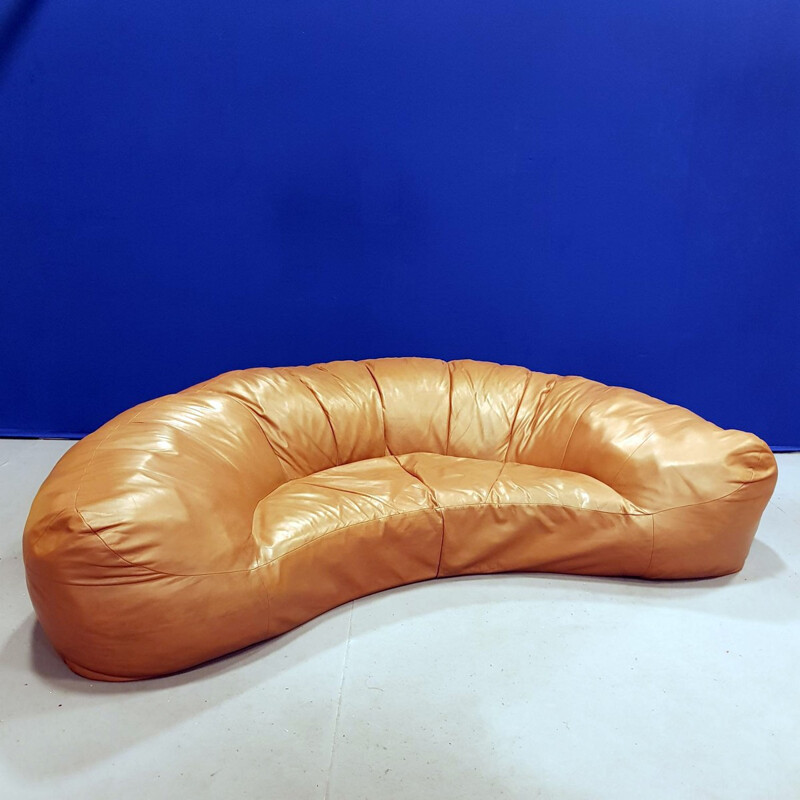 Vintage Sofa by Raphaël Raffel - 1970s