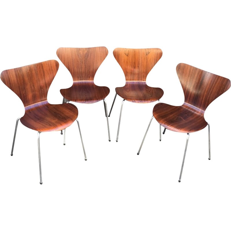 4 chaises série 7 en palissandre d'Arne Jacobsen - 1965