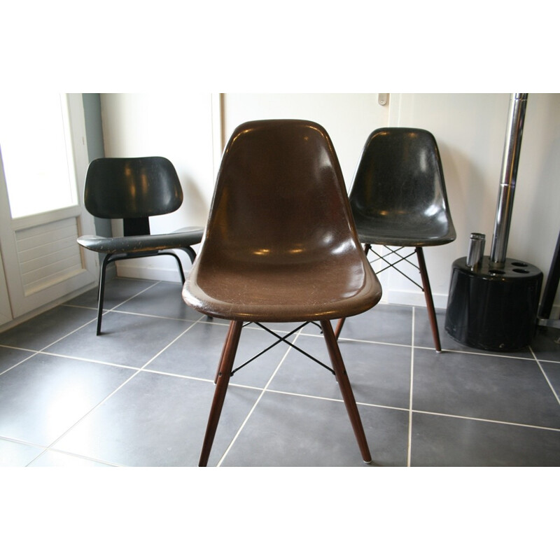 Chaise "DSW" chocolat, Charles & Ray EAMES - années 70 