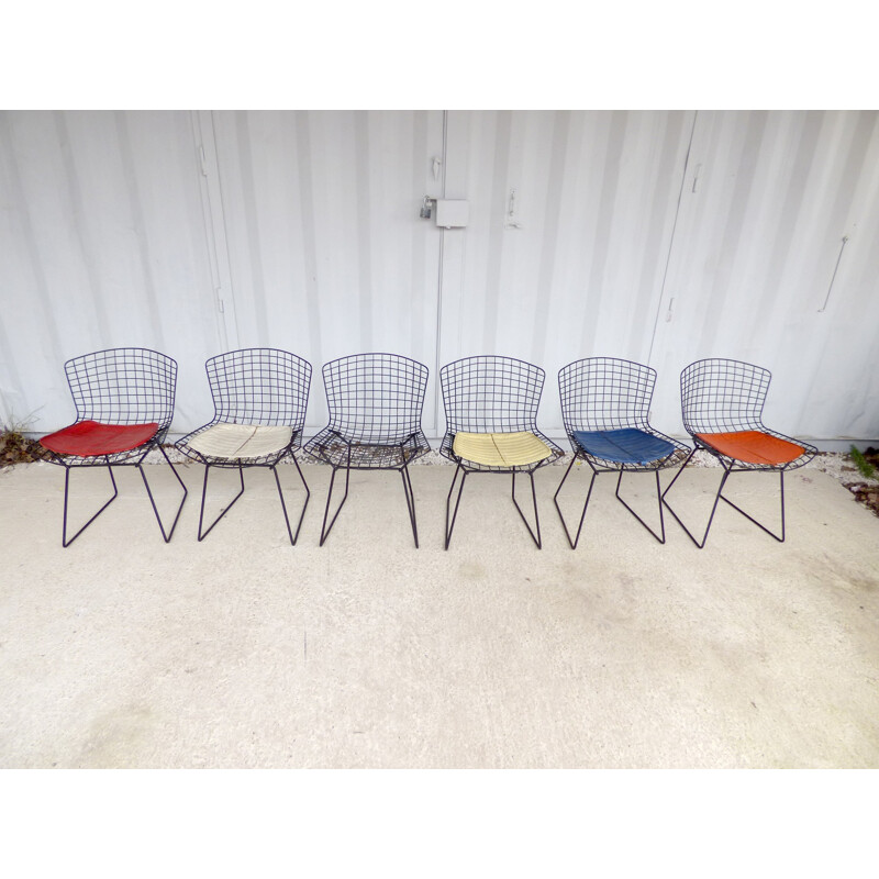 Suite de 6 chaises d'Harry Bertoia pour Knoll international - 1960