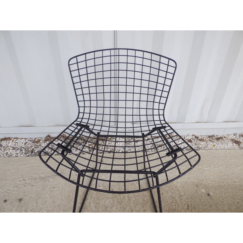 Black bertoia chair for knoll international - 1960s