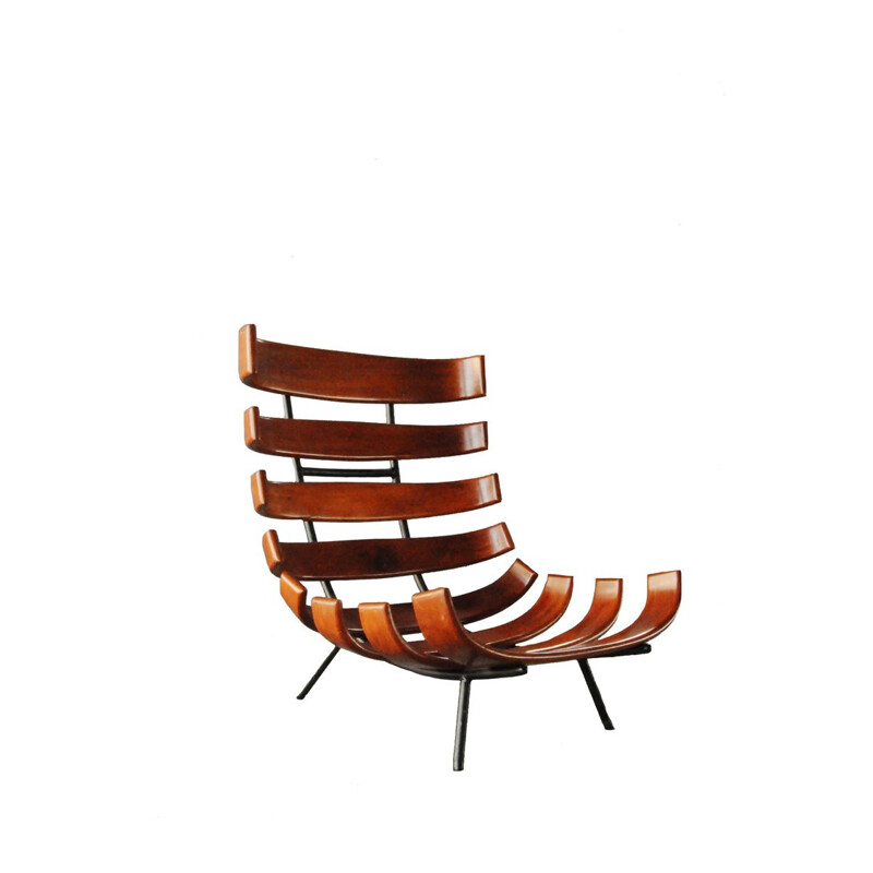 Fauteuil vintage "Rib" brésilien en bois de caviuna par Martin Eisler et Carlo Hauner - 1960