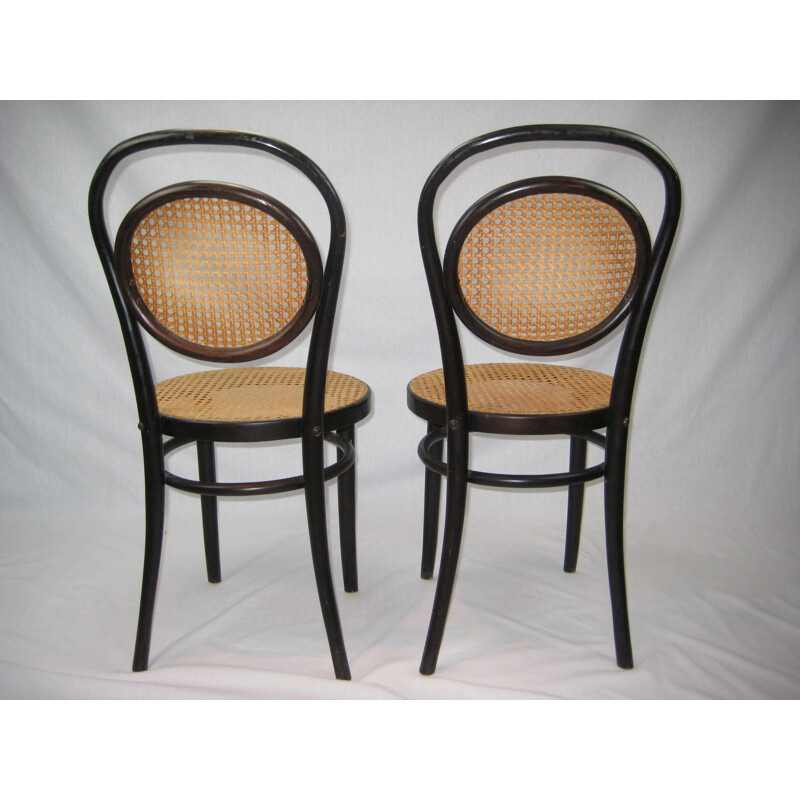 Set of 2 vintage curved beech chairs - 1930s