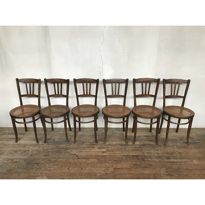 Vintage set of 6 bentwood dining chairs by dlg luterma - 1950s